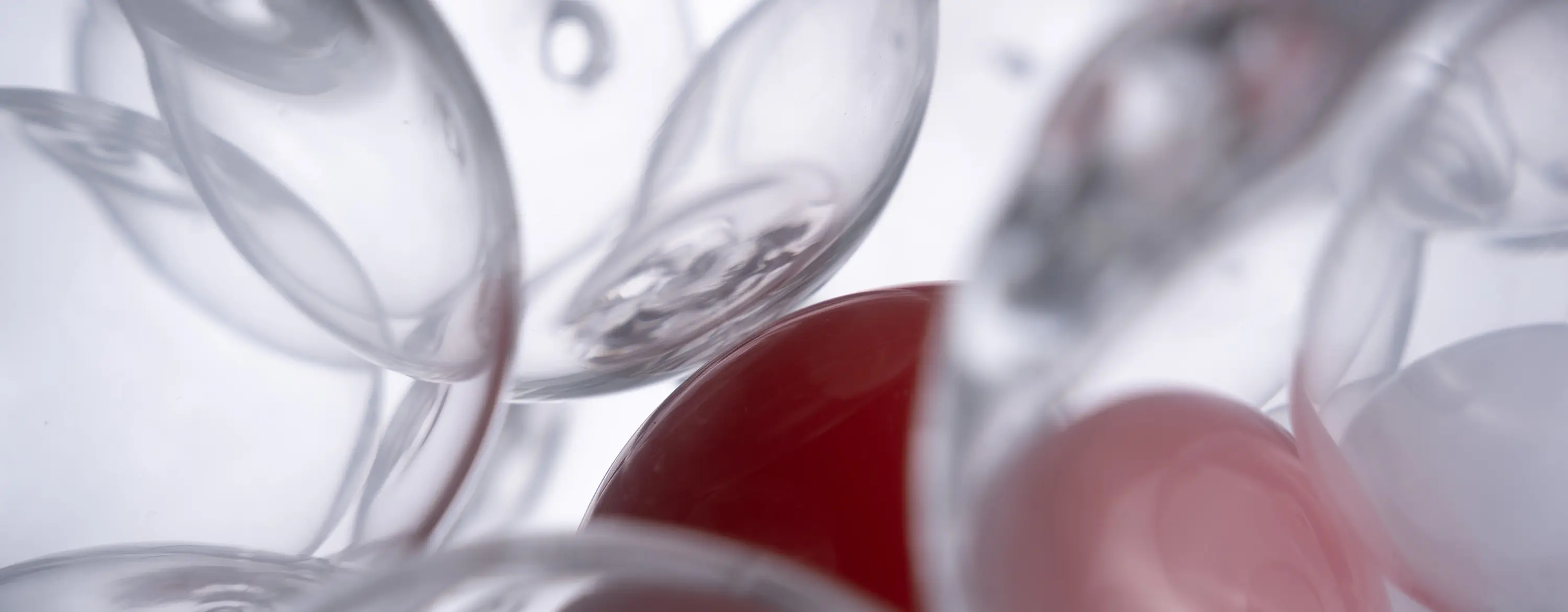 Wine glasses artistic photography