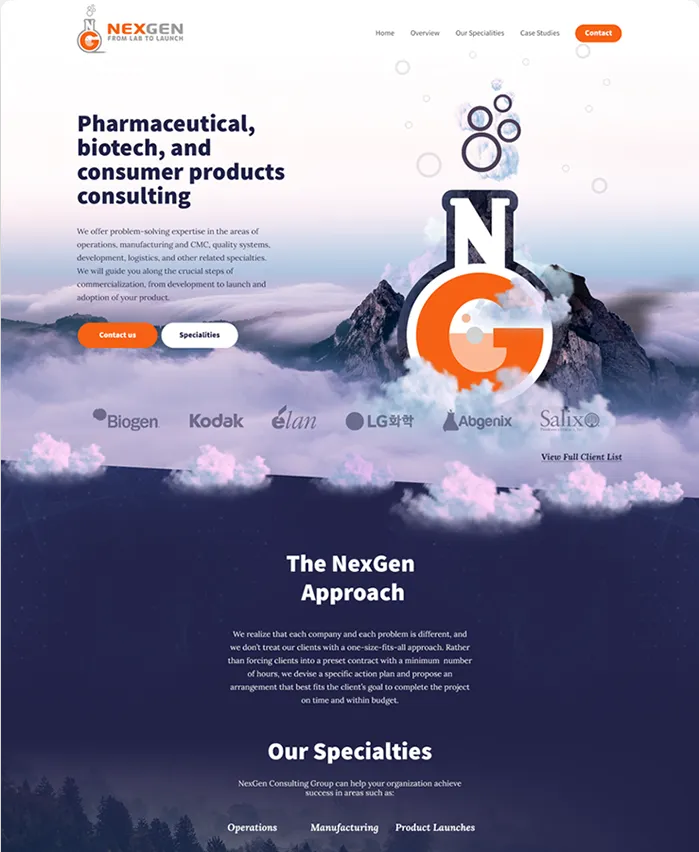 Screenshot of NexGen Consulting Group website